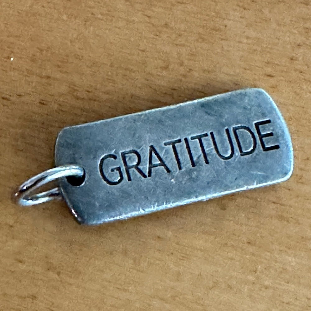 Origami Owl TAGGED Pewter "GRATITUDE" Dog Tag Pendant Charm Accent NEW